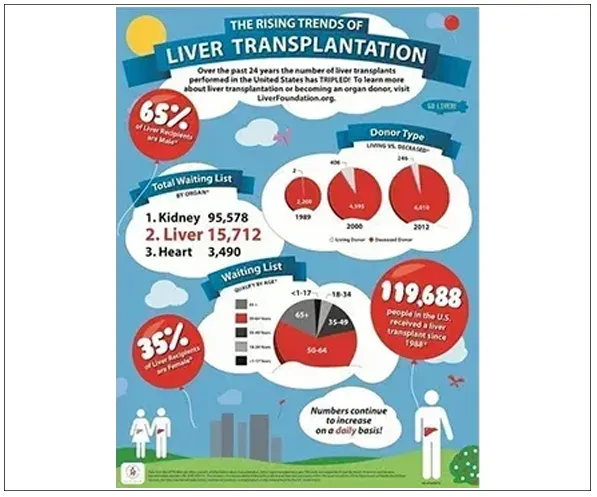 liver transplantation