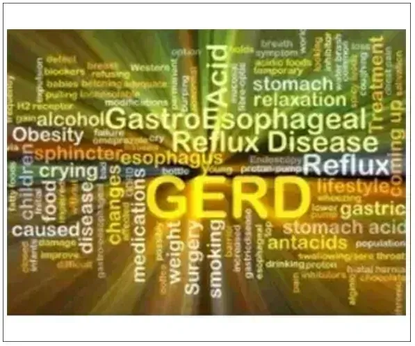 GERD - GASTROESOPHAGEAL REFLUX DISEASE