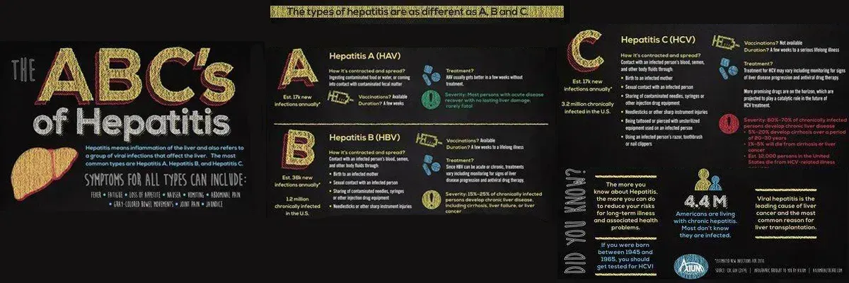 LIVER DISEASES